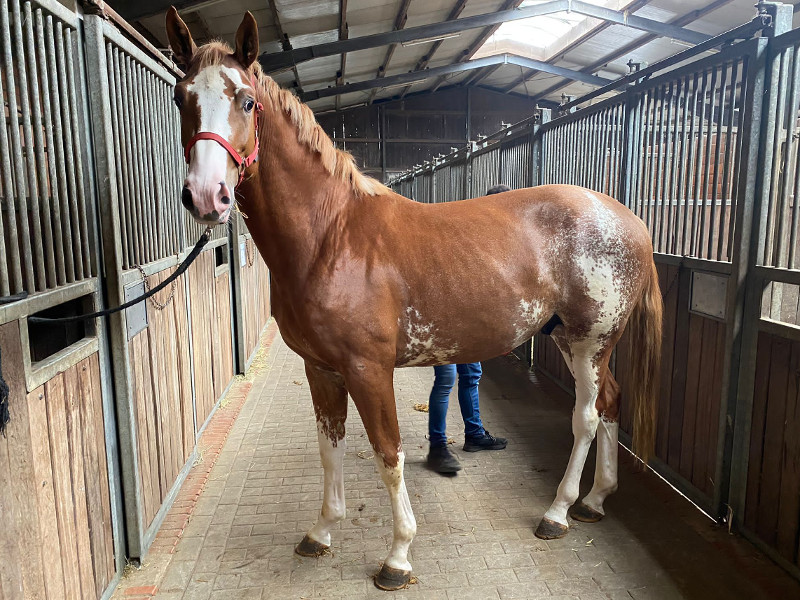 September 2022  (© Klatte )