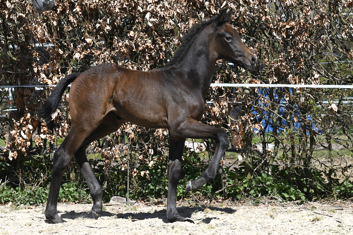 Freaky Like Me  *2021